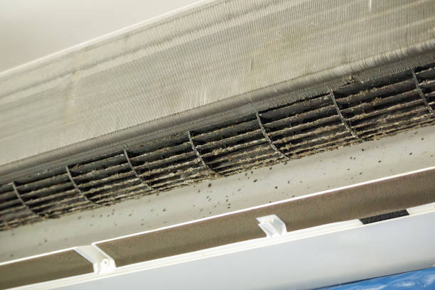 Best Local Air Duct Cleaning Services  in Stromsburg, NE